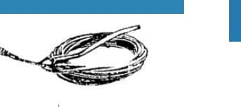 Spring Type Drain Snake